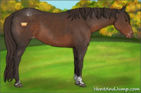 Horse Color:Liver Chestnut Sabino Tobiano Blanket 