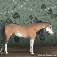 Horse Color:Bay Dun Sabino Rabicano