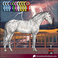Horse Color:Brown Dun Mushroom Tobiano Blanket 