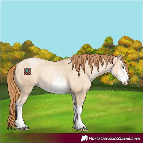 Horse Color:White Spotted Buckskin Pearl Dun 