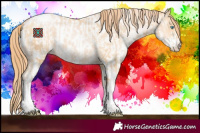 Horse Color:Buckskin Pearl Tobiano  and Buckskin Pearl Sabino Near Leopard 