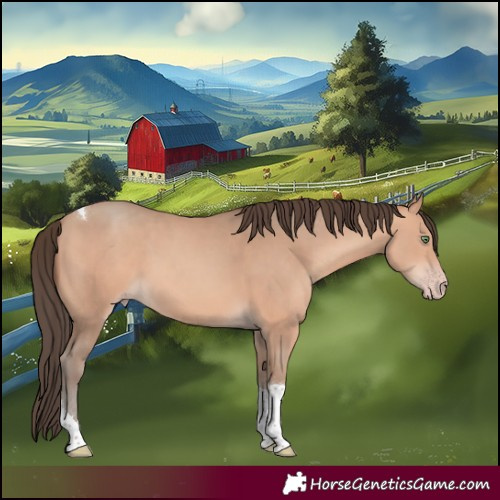 Horse Color:Amber Champagne Tobiano 