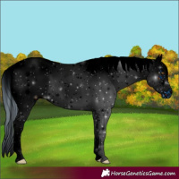 Horse Color:ERROR: UNKNOWN ANOMALY