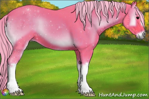 Horse Color:Watercolor Silver Brown Onyx 