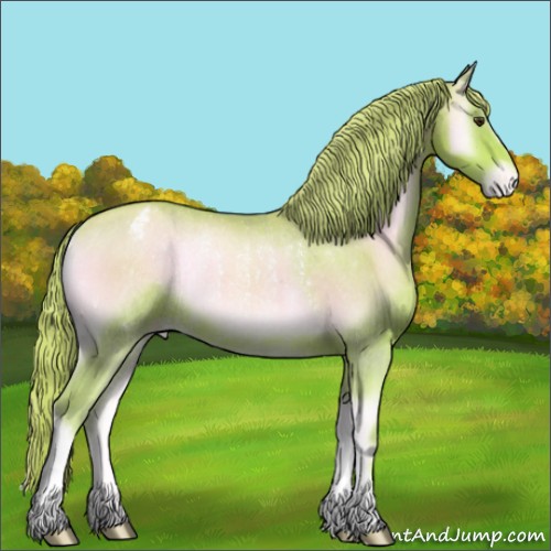 Horse Color:Watercolor Gold Champagne Onyx Appaloosa Rabicano 