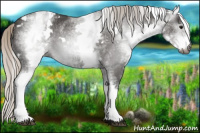 Horse Color:Gray White Spotted Silver Black 