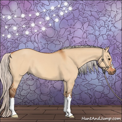 Horse Color:Silver Bay Dun 