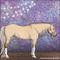 Horse Color:Silver Bay Dun 
