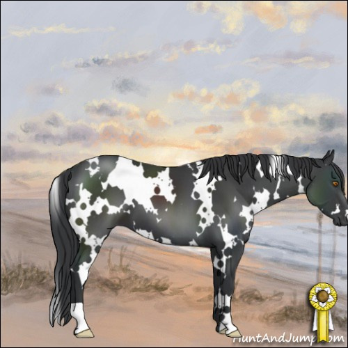 Horse Color:White Spotted Black 