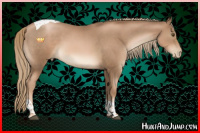 Horse Color:Liver Chestnut Pearl Sabino Tobiano Rabicano