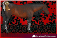 Horse Color:Brown Tobiano Rabicano