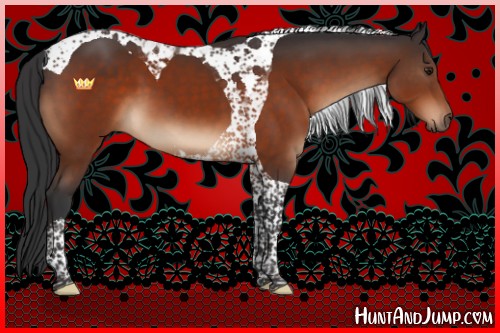 Horse Color:Brown Tobiano