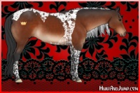 Horse Color:Brown Tobiano 