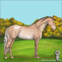 Horse Color:Silver Amber Champagne Varnish Rabicano 