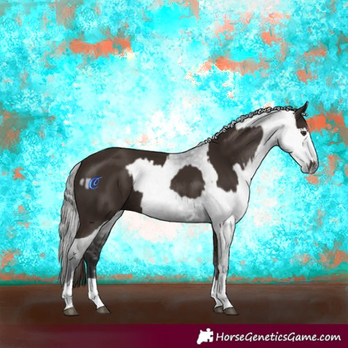 Horse Color:Liver Chestnut  and Gray Liver Chestnut 