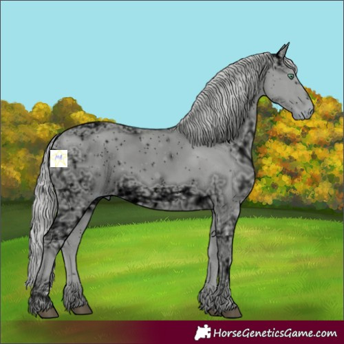 Horse Color:ERROR: UNKNOWN ANOMALY