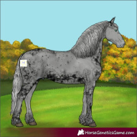 Horse Color:ERROR: UNKNOWN ANOMALY