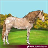 Horse Color:Chestnut Ice 