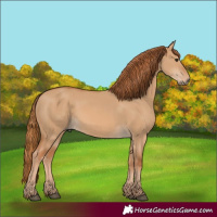 Horse Color:Red Dun
