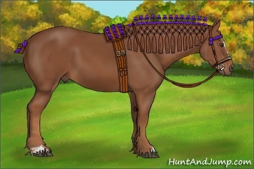 Horse Color:Chestnut Sabino