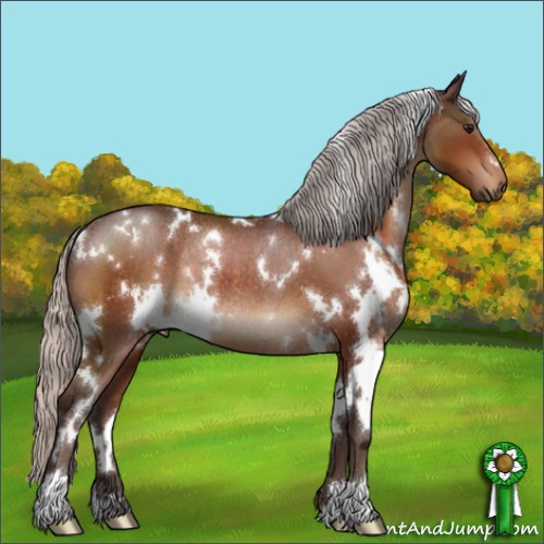 Horse Color:White Spotted Silver Bay Rabicano 