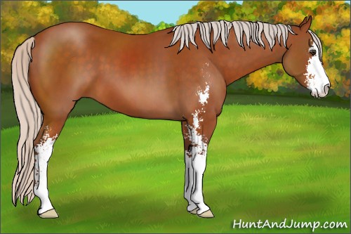 Horse Color:Silver Buckskin Sabino