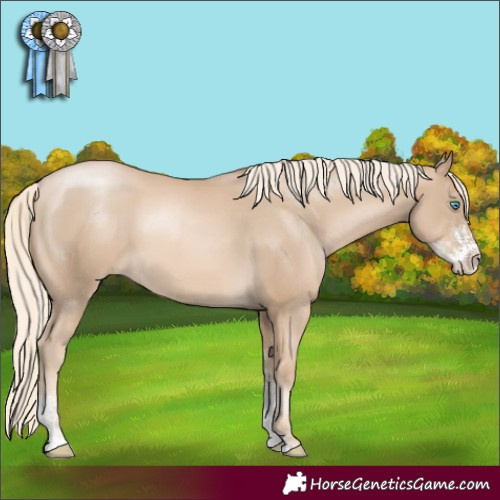 Horse Color:Chocolate Palomino Pearl Sabino 