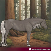 Horse Color:Silver Black 