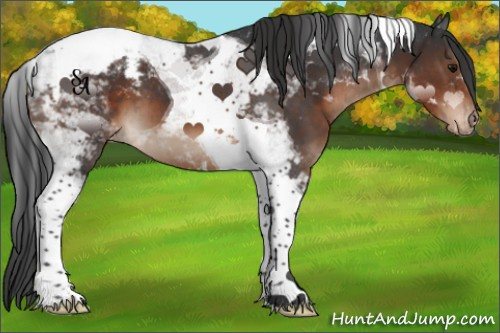 Horse Color:Brown Tobiano Snowcap 