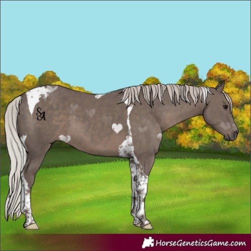 Horse Color:Silver Black Tobiano 