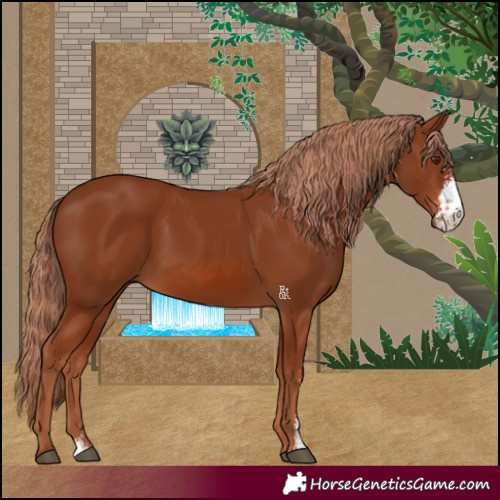 Horse Color:Chestnut Sabino