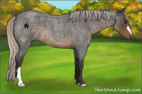 Horse Color:Silver Smoky Blue Roan 