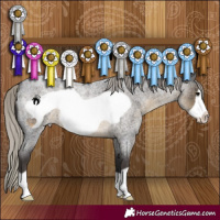 Horse Color:Silver Smoky Blue Roan Frame 