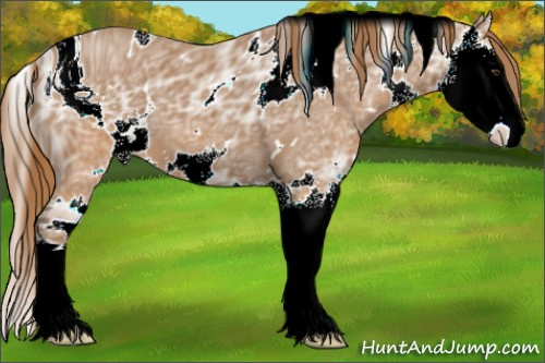 Horse Color:ERROR: UNKNOWN ANOMALY