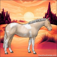 Horse Color:Silver Blue Roan Pearl Tobiano Frame