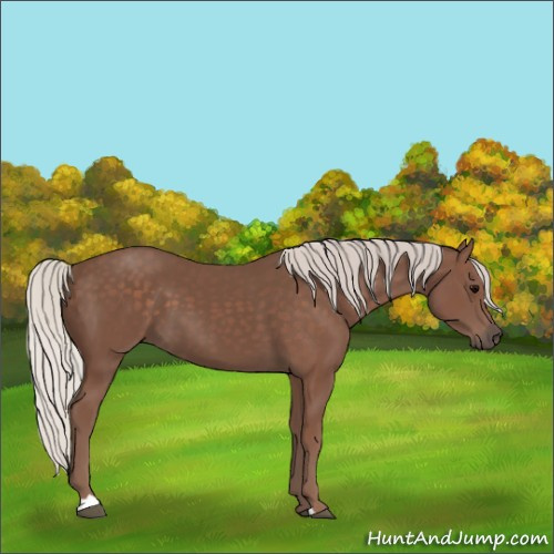 Horse Color:Silver Black 