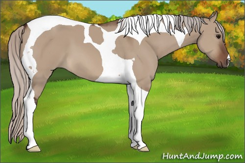 Horse Color:Silver Brown Dun Tobiano 