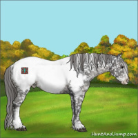 Horse Color:Black Sabino Tobiano Frame Appaloosa 
