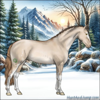 Horse Color:White Spotted Liver Red Dun Pearl Sabino