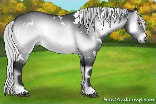Horse Color:White Spotted Silver Brown Chinchilla Onyx