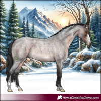Horse Color:Brown Roan Sabino