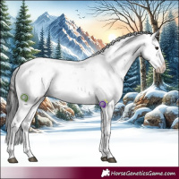 Horse Color:Brown Sabino