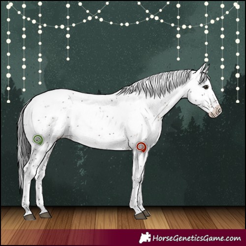 Horse Color:Brown Sabino 