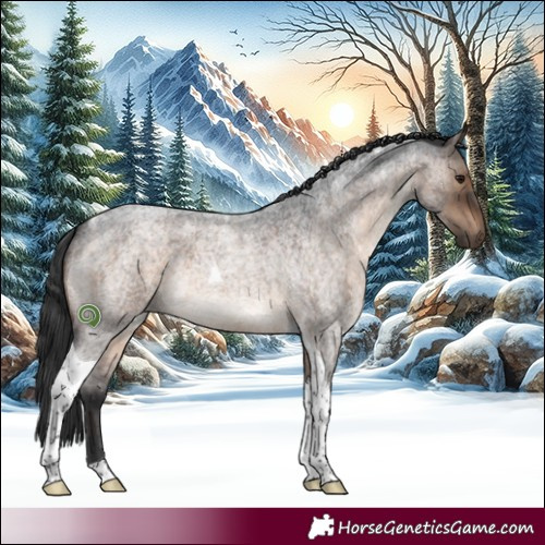Horse Color:Brown Roan Dun Tobiano