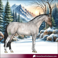 Horse Color:Brown Roan Dun Tobiano