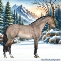 Horse Color:Brown Roan Dun Sabino 