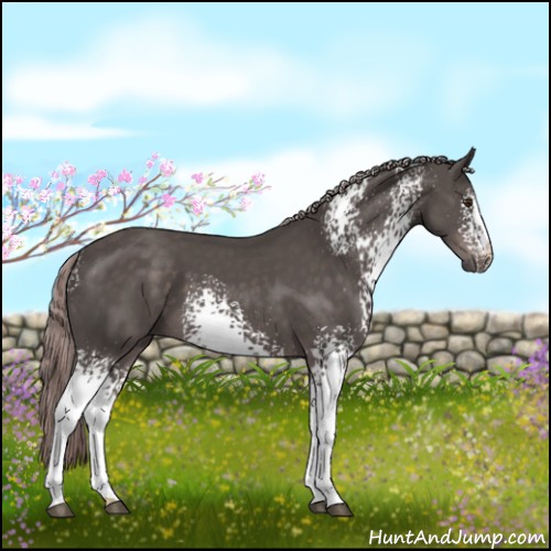 Horse Color:Platinum White Spotted Liver Chestnut 