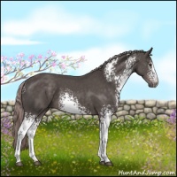 Horse Color:Platinum White Spotted Liver Chestnut 