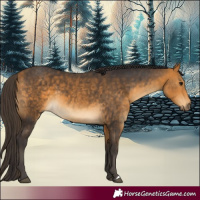 Horse Color:Buckskin 