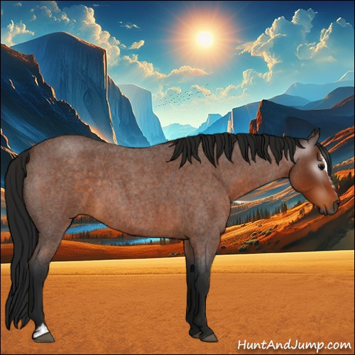 Horse Color:Gray Buckskin Roan Sabino 